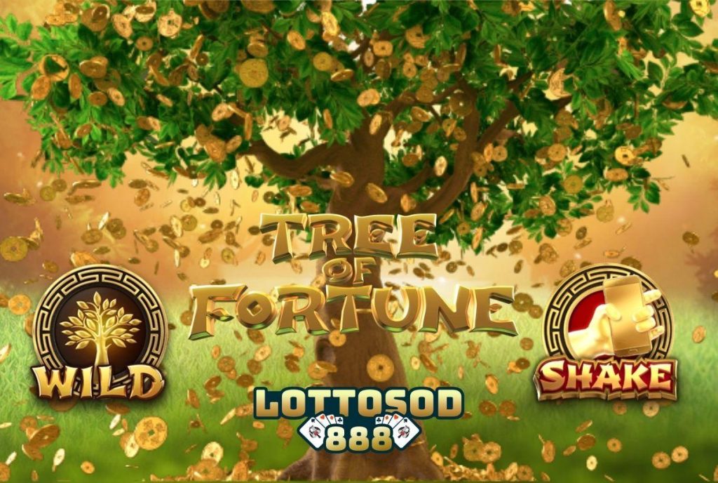 รีวิวเกมสล็อต Tree of Fortune ต้นไม้แห่งโชคลาภ